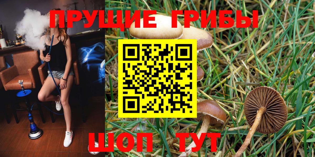 Десногорск  Псилоцибиновые грибы GOLDEN TEACHER  Вход с VPN  Псилоцибиновые грибы MAGIC MUSHROOMS 